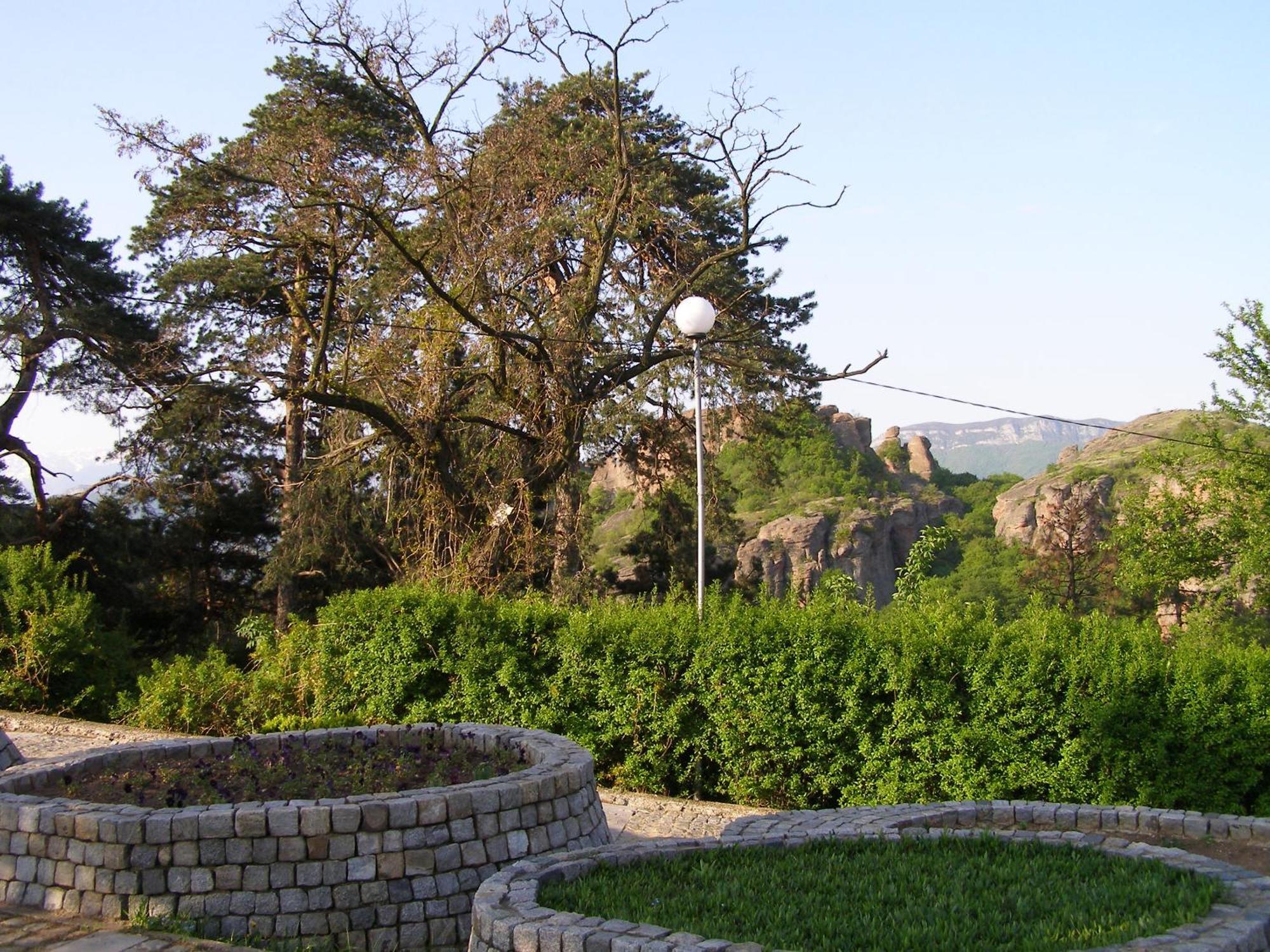 Belogradchik View Apartment Dış mekan fotoğraf